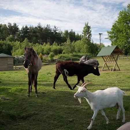 Zielone Wzgórza